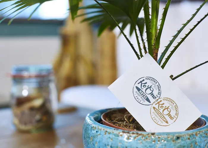 Hotel Ko'ono Konstanz